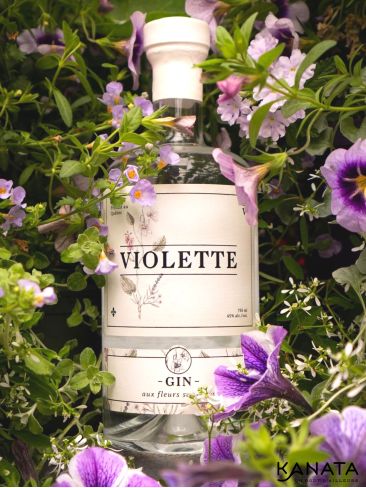 Violette Gin - Distillerie Mariana