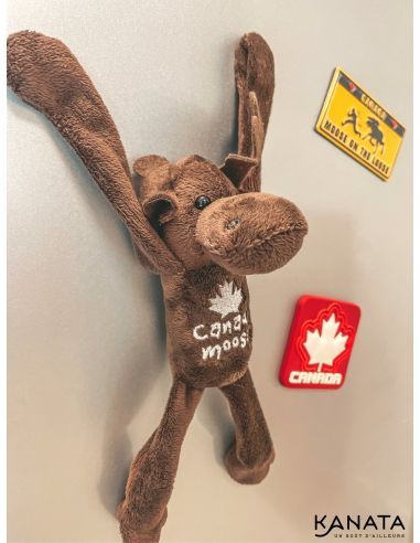 Magnetized moose