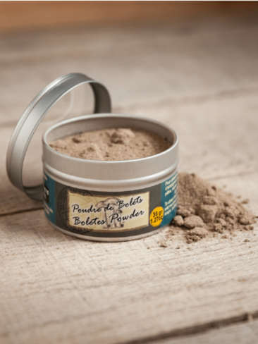 Poudre de Bolets Sauvages
