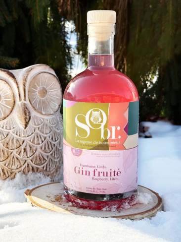 Fruity Gin Raspberry and Litchi - Alcohol-free