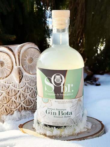 Gin Bota - Botanique et Herbacé - Sans Alcool
