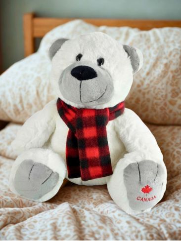 Osito de Peluche Blanco