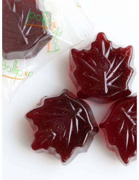 Caramelos de Arándano/Arce Pollipop - 108g
