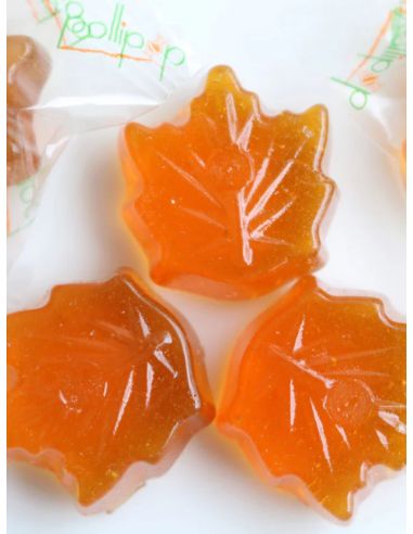 Pollipop Maple Candy - 108g