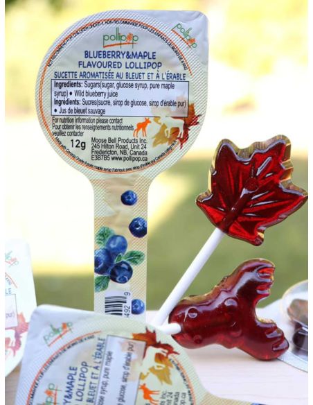 Piruleta de Arándano/Arce Pollipop - 1 unidad