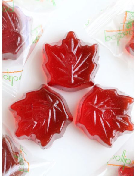 Cranberry-Ahorn Pollipop Bonbons - 108g