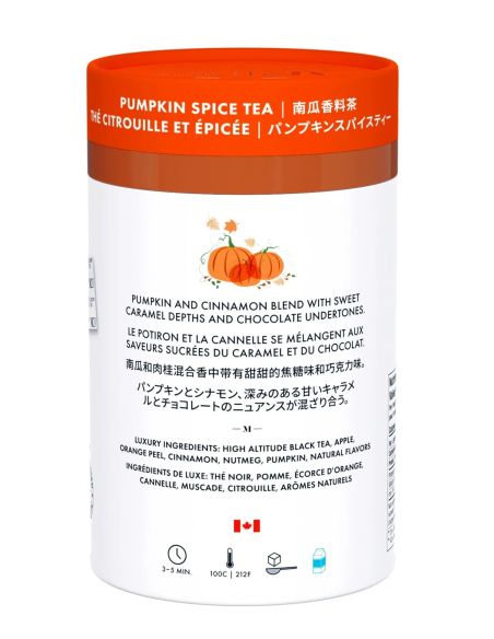 Thé noir à la citrouille et aux épices d’automne - 24 sachets M21