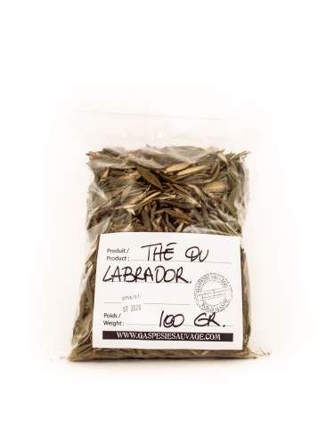 Thé du labrador 100g