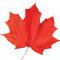 Maple 3